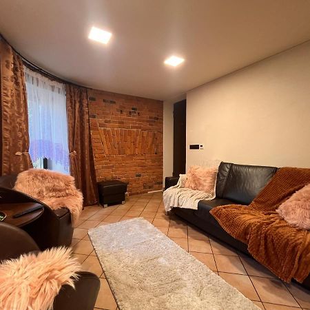 Apartaments In The City Centre Kowno Zewnętrze zdjęcie