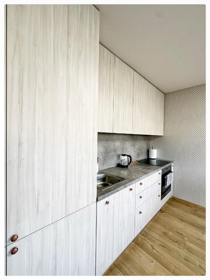 Apartaments In The City Centre Kowno Zewnętrze zdjęcie