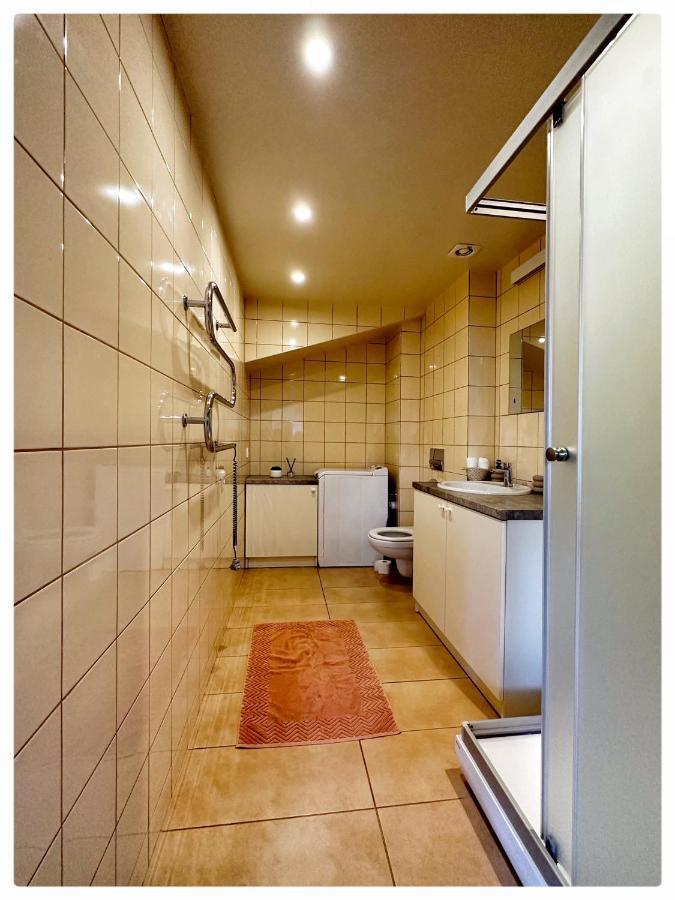 Apartaments In The City Centre Kowno Zewnętrze zdjęcie