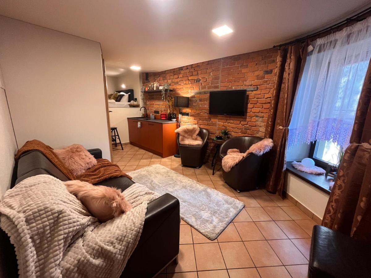 Apartaments In The City Centre Kowno Zewnętrze zdjęcie