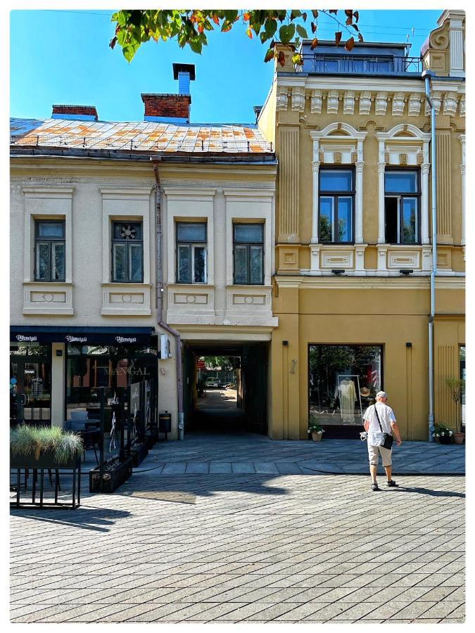 Apartaments In The City Centre Kowno Zewnętrze zdjęcie